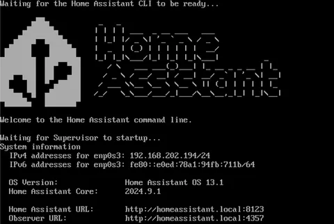 The Home Assistant CLI on the monitor, with the board's IP address